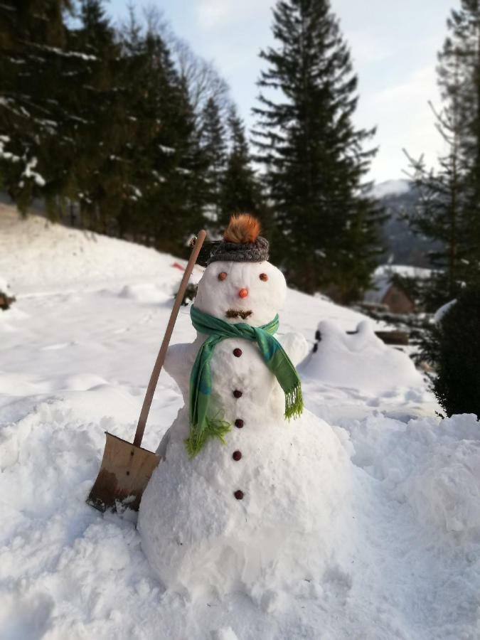 Alpenhaus Ganser-Dixit Mariazell Esterno foto
