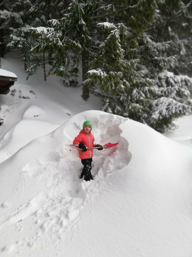 Alpenhaus Ganser-Dixit Mariazell Esterno foto